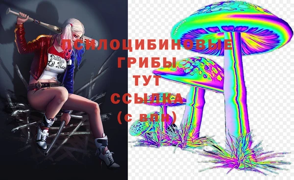 метадон Алексин