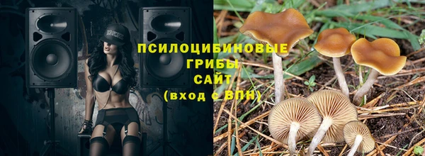 дживик Алексеевка